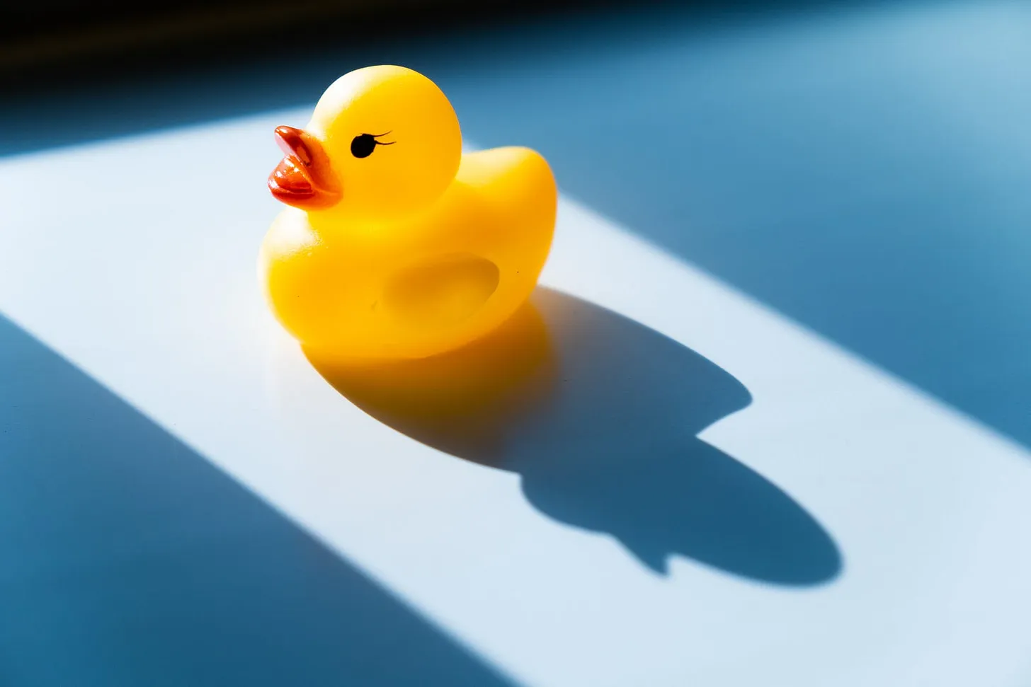 “If it looks like a duck…” - Photo by S. Tsuchiya on Unsplash