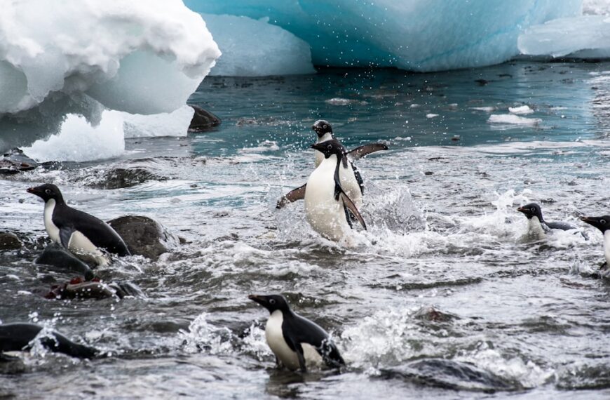 Photo by Jason Row on Unsplash